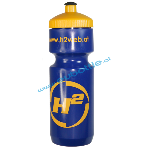 EU Bottle BigMouth 750ml blue - H2
