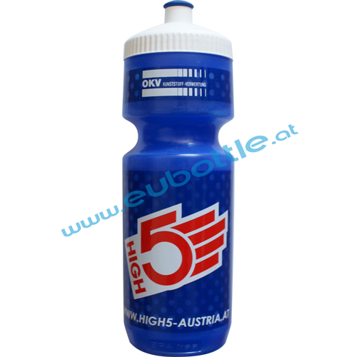 EU Bottle BigMouth 750ml clear-blue - High5 Austria
